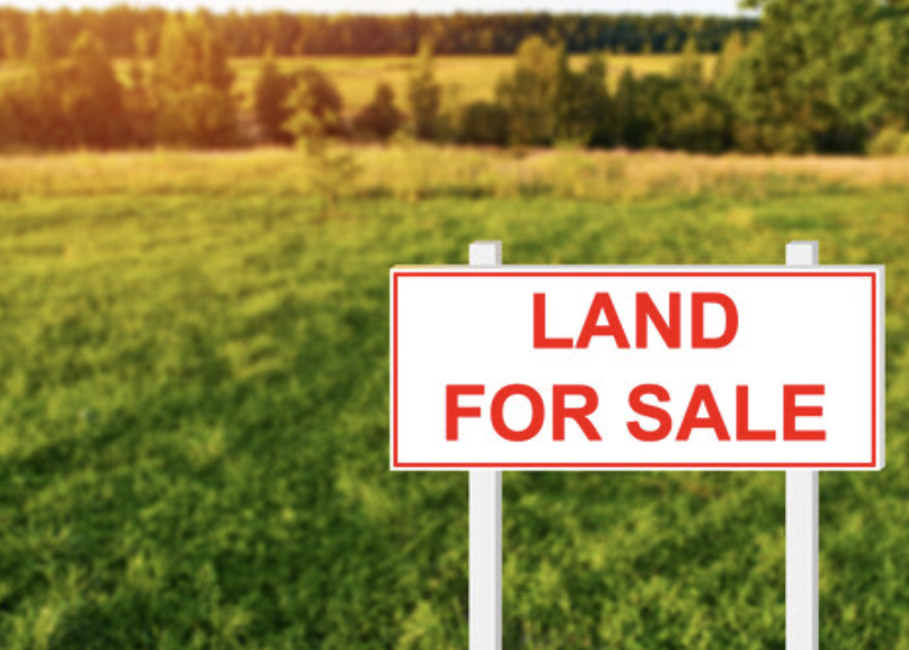 Looking for 10 +/- Acres West Florida